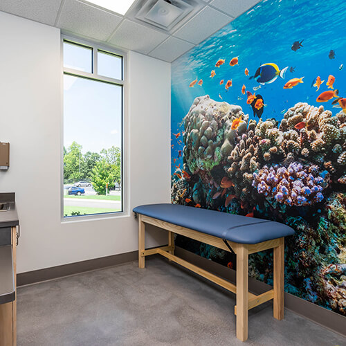 McDonough Pediatrician Primary Pediatrics